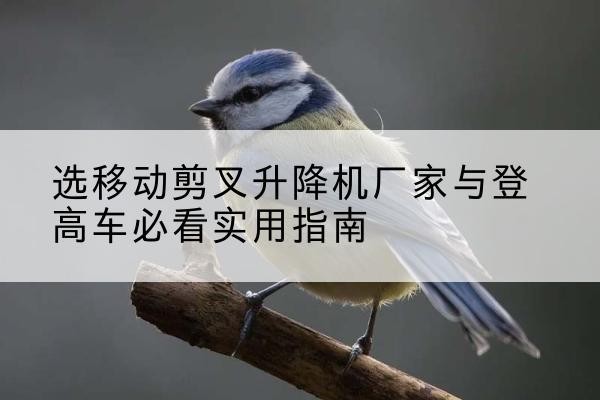 溧阳电动升降机厂家-选移动剪叉升降机厂家与登高车必看实用指南