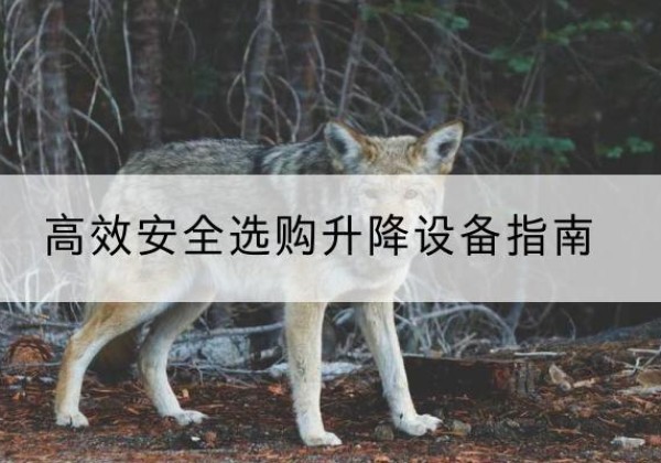 溧阳升降货梯厂家推荐-*安全选购升降设备指南