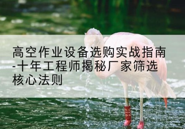 溧阳剪叉式升降机厂家-高空作业设备选购实战指南-十年工程师揭秘厂家筛选核心法则
